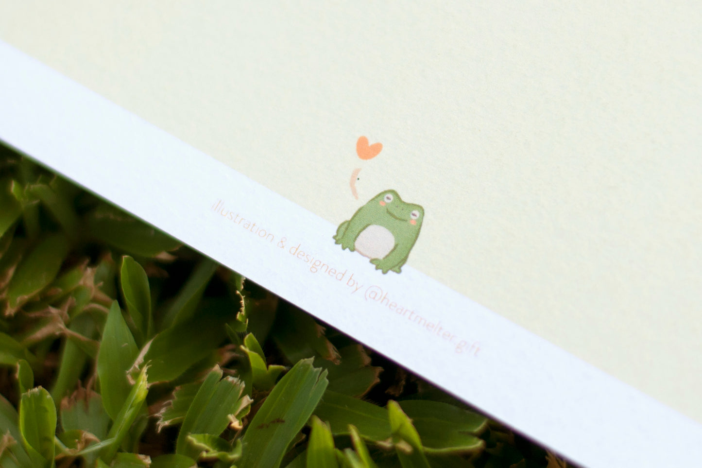 小動物明信片心意卡(全套5張) set